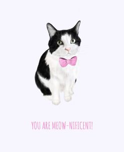 You Are Meow-Nificent