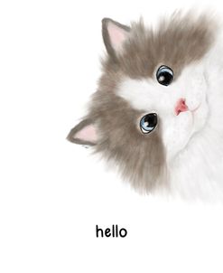Hello – Cat