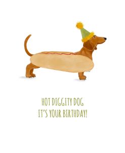 Hot Diggity Dog It’s Your Birthday