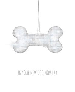 In Your New Dog Mom Era