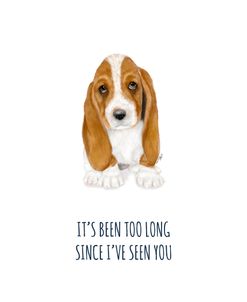 It’s Been Too Long Since I’ve Seen You