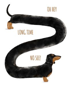 Oh Hey Long Time No See