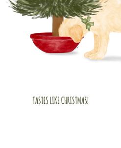 Tastes Like Christmas