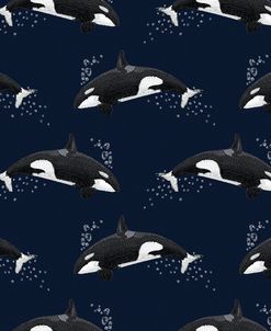 Orca