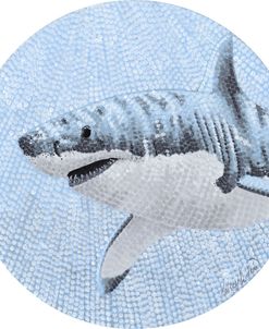 Great White Shark