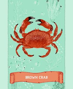 Ocean Garden Brown Crab