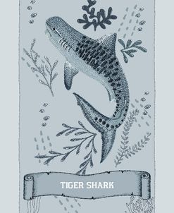 Ocean Garden Tiger Shark