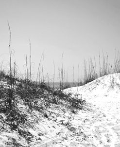 Footprints in Dunes