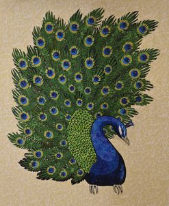 Peacock Stitched