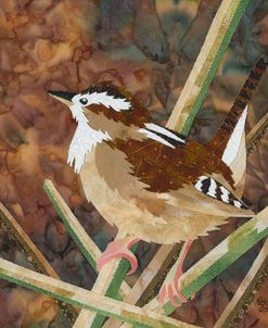 Marsh Wren