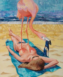 Flamingo On Sun Bather