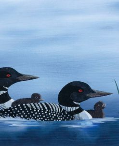 Family of Loons