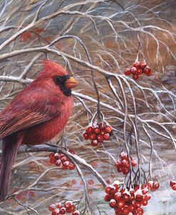 Cardinal and Berries