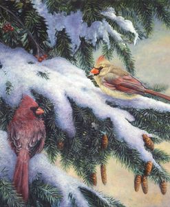 Winter Cardinals