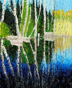 Birch Tree Reflections