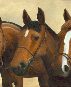 3 Horses