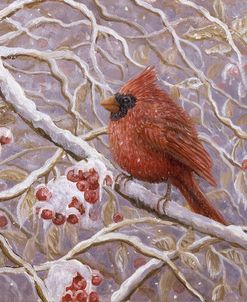 Cardinal and Wild Berries