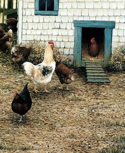 The Chicken Coop