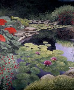 The Lily Pond