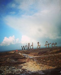 Wild And Free 2