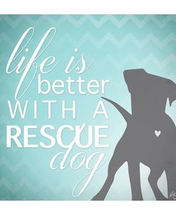 Better with a Rescue Dog