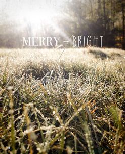 Merry and Bright