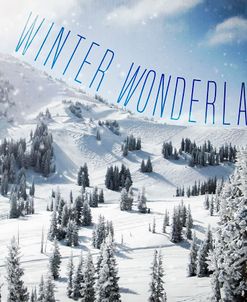 Winter Wonderland