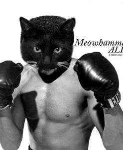 Meowhammad Ali