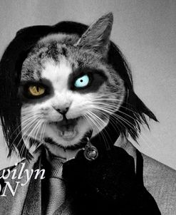 Meowilyn Manson