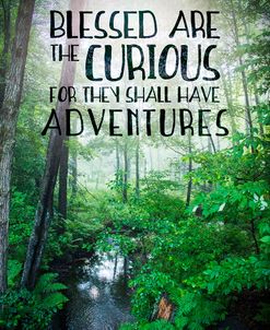 Blessed are the Curious
