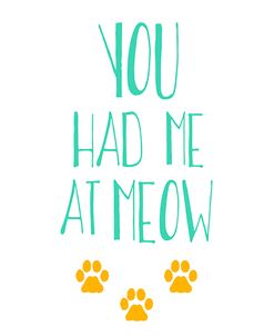 You Had Me At Meow