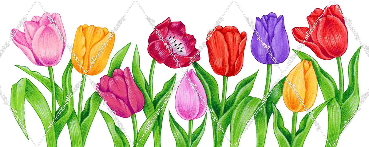 Floral Tulips