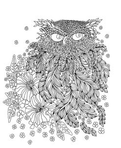 Feathery Owl