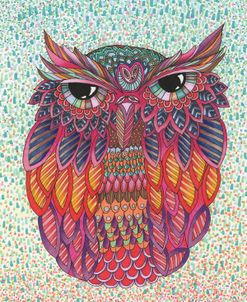 Amazing Owl