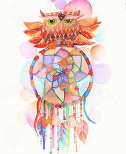 Watercolor Owl Dream Catcher