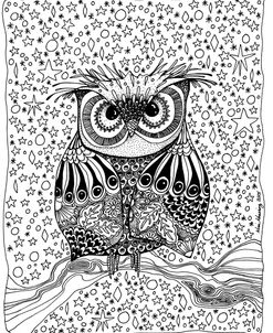 Starry Night Owl