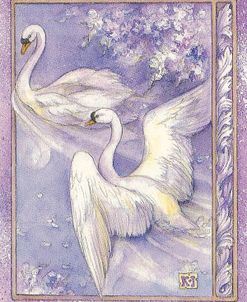 Swan Couple