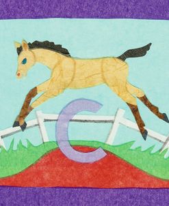 ABC C Colt