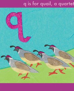 Q is For Quail