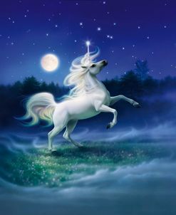 Enchanted Evening