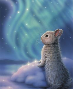 Aurora Bunny