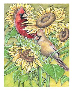Cardinals And Sunflowers