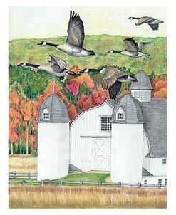 Geese And DH Day Barn