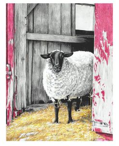 Grace The Sheep