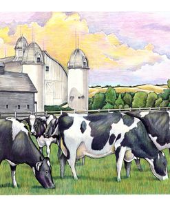 Holstein Cows DH Day Farm