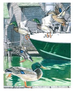 Fishtown Ducks