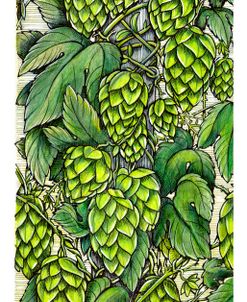 Hops on the Vine