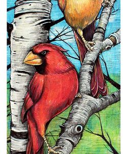 Spring Cardinals and Birch