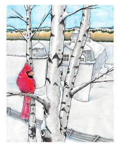 Winter Cardinal DH Day Barn