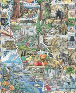 California Seek And Find